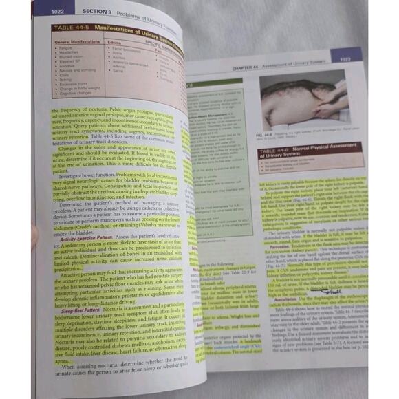 Elsevier Medical-Surgical Nursing, Med-Surg, Lewis 10th Edition Vol 1 & 2 - Picture 6 of 16